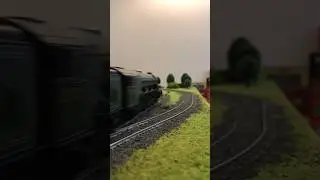 Firdaussi pulling a small passenger train in Doncaster