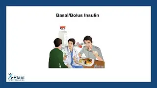 Basal/Bolus Insulin