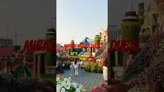 #اكسبلور #music #جديد #song #shortvideo #trending #flowers #miracle