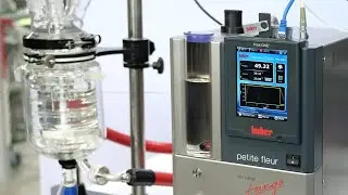 Petite Fleur &ndash; Compact process thermostat