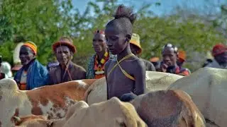 Ceremonia Hammer del salto toros. Etiopia.