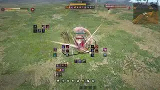 Black Desert Online / Ninja 1v1 / Ninja vs Warrior / Awakening vs Awakening / S Tier Warrior