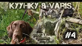 FA: Kyyhky & Varis | Kausi 2020 / 2021 #4
