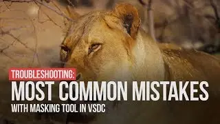 Troubleshooting: most common mistakes with masking in VSDC Video Editor