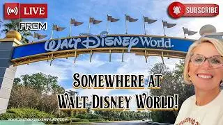 Somewhere at Walt Disney World 2/11/26 #live