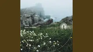 Mind Tranquility