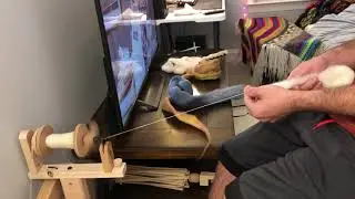 Spinning on the Ashford Kiwi 3 | Calm Spinning