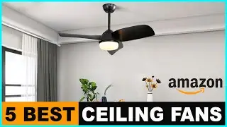 5 Best Ceiling Fans 2024