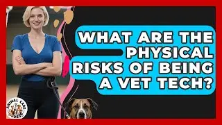 What Are The Physical Risks Of Being A Vet Tech? - Animal Care Jobs