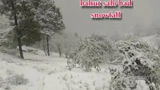 Snow fall after long time..