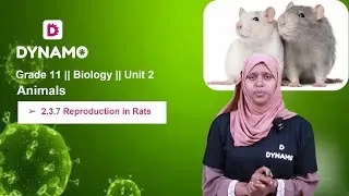 Grade 11 || Biology || Unit 2 || Animals || Part 8 || 2.3.7 Reproduction in Rats