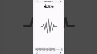 Shaw - Harba Tsellek ( Snippet ) ❤&zwj;🔥