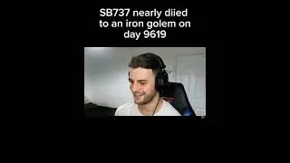 SB737 Nearly Got Killed By An Iron Golem In Hardcore Minecraft!