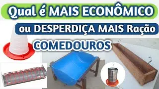 Comedouro ECONÔMICO para Galinhas,Qual Comedouro DESPERDIÇA muita Ração de Galinha (FAÇA VOCÊ MESMO)