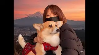 富士山がよく見えると噂の高台目指して配信を
