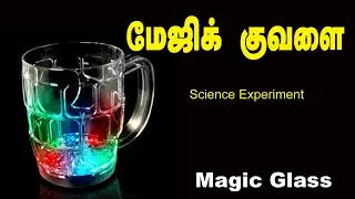Disappearing Glass - Light refraction  Science Experiments | Tamil