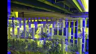 The Colville Deverell Bridge