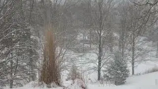 Snowy Morning - OM System OM-1 II Video Sample - 12-100mm f/4 Lens (Cam set to +1 for IS Level)