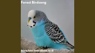 Irritating Insects