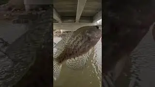 Ультралегкая рыбалка в ручье