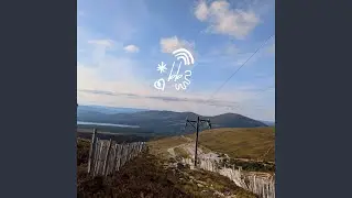 bb