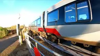 A LOOK AROUND BUCKENHAM STATION AND RSPB BUCKENHAM EARLIER THIS WEEK