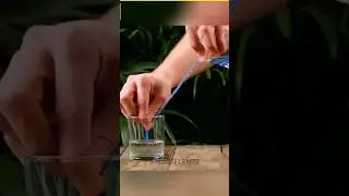 I Tried Amazing Life Hacks From YouTube || Various Life Hacks || #shorts #40