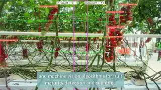 Title: Greenhouse Inspection Robot: Pioneering a New Chapter in Modern Agricultural Technology