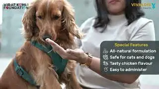 Bark Out Loud Calming Anti Anxiety Supplement | Best Anti Anxiety Supplement for dogs