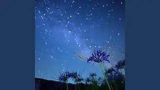 Distant Sky