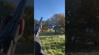 Mrs Bob shooting the AYA #gun #clayshooting #shotgun #sidebyside #12gauge #yeoman #aya #shooting
