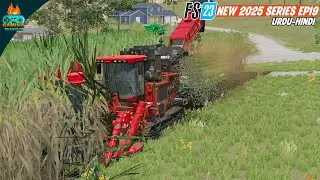 Harvesting  Sugarcane - Playing FS 23 Until New Mobile Game Announced ep 19