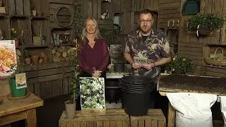 LIVE New Sunday Gardening this September