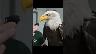 Eagle Mask# Save from eagle#Eagle#Keep  the mouth# Birds#Save birds#save eagle