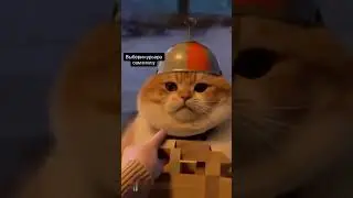 Выбирай курьера сам в приложении marzy+ #marzy #funny #доставка #cat