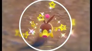 Shiny Floink #03 Pok&eacute;mon Karmesin & Purpur!
