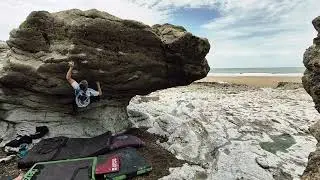 Travesty Eliminate V8, 🍄 Mushroom, Ogmore By Sea