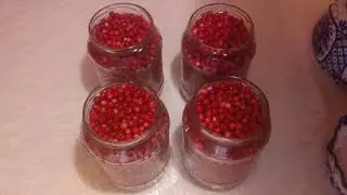 Моченая брусника. Прекрасный гарнир к мясным блюдам!