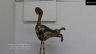 Ralf Nawrot 02 Die Neuen im Kunstverein Duisburg Artloft bis  28.04.2024
