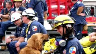 2014 American Humane Association Hero Dog Awards&trade; - Search and Rescue Dog Category - Bretagne