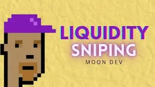 Build a Liquidity Sniping Bot Master Slippage Trading
