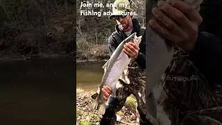 🐟Small rivers produce big fish. Ontario Trout Fishing. #fishing #troutfishing #steelhead