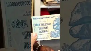 One hundred TRILLION DOLLAR banknote 😱🤑🤑#money #travel #zimbabwe
