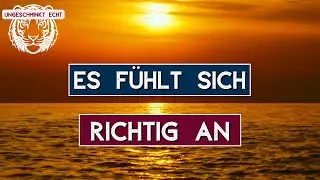 Vlog 287- Es fühlt sich richtig an
