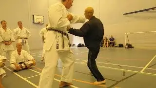 OLD is GOLD - Best Old Man Martial Arts | Motivational Video