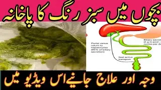 Sabz Rang ki Potty ki Waja || Green Stools, Reasons and Myths | Urdu | Hindi @drzulfiali #stools