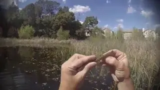 Urban Bass Slayers