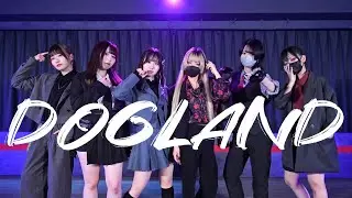 【こもぺのゆりがぶねこさら】DOGLAND / VACHSS cover【踊ってみた】