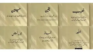 Best quotes in Urdu -new collections true lines what's app states about life