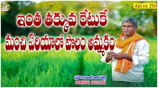 Add no :396 చాలా తక్కువ రేటుకే 3 ఎకరాల పొలం అమ్మకం @BudgetMamaGroup